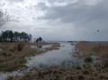 arrivée sur le lac