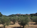 Arrivée sur Vinsobres