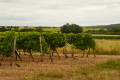 Asnières sur Nouère