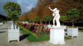 Atalante et Hippomène Atalante et Hippomène