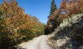 Magnifiques couleurs d'automne Magnifiques couleurs d'automne