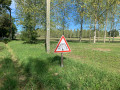 Attention aux paons