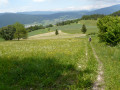 Au bas de la Combe Chaulange Au bas de la Combe Chaulange