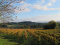Au bas du village de Mauriac