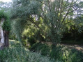 Au bord de l'eau