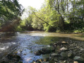 Au bord de l'Erdre Au bord de l'Erdre