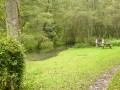 Au bord de l'Orvanne Au bord de l'Orvanne
