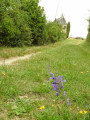 Boucle du Petit Saint-Christol Boucle du Petit Saint-Christol