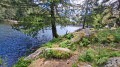 Au bord du lac du Forlet