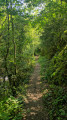 Au bord du ruisseau