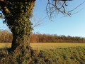 Au bord du sentier