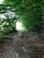Au bout du tunnel de verdure, la lumière Au bout du tunnel de verdure, la lumière