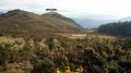 Au Col d' Ibaneta