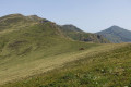 Au collet