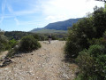 au début de la descente vers les gorges