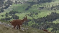 Au début de la montée Au début de la montée