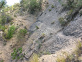 Tour de la Montagne de Piémard