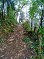 Au début de notre sentier du Taillefer.