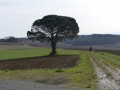 Sentier des clochers Sentier des clochers