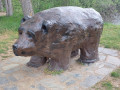 Senda del Oso de Cervera de Pisuerga