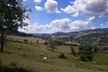 Dans les forêts de Lamure-sur Azergues Dans les forêts de Lamure-sur Azergues