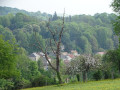 Au dessus de Oinville