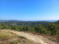 Dans les collines entre Sainte-Tulle et Corbières-en-Provence