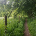 Sentier entre bois et prairie