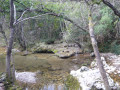 Au fond du canyon
