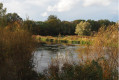 Au lagunage d'Harnes