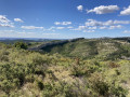 Au milieu des Alpilles