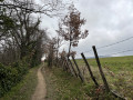 Au milieu des champs