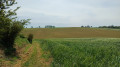 Au milieu des champs