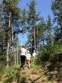 Au milieu des pinèdes Au milieu des pinèdes