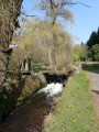 Le long du ruisseau du Breuil Le long du ruisseau du Breuil