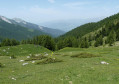 Au niveau du parc à vache