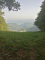 Au PAS DE L'ANE