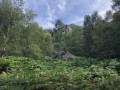 Le Roc la Tour en Forêt de Château-Régnault