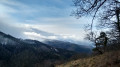 Au pied du Stauffen.
