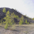 Au pied du terril