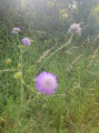 Au plus proche de la nature Au plus proche de la nature