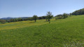 Au printemps