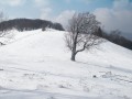 La Source de la Doller au départ du Lachtelweiher