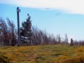 Au sommet du Lauchenkopf Au sommet du Lauchenkopf