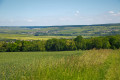 Au sortir du bois du pré vue sur la vallée de la Marne