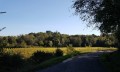 Au sud de Villegouge
