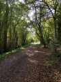 Au sud de Villegouge