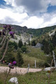 Auberge du Forlet Auberge du Forlet