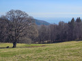 Auberge du Molkenrain
