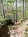 Aubrac : sentier de pierres